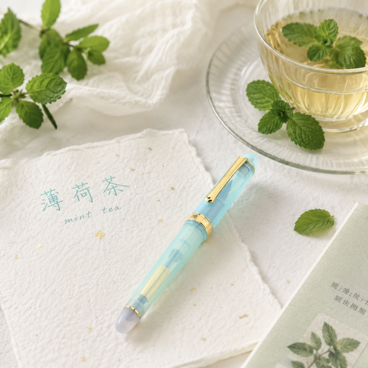 Platinum × Nonble Limited Edition Fountain Pen “Peppermint Tea”