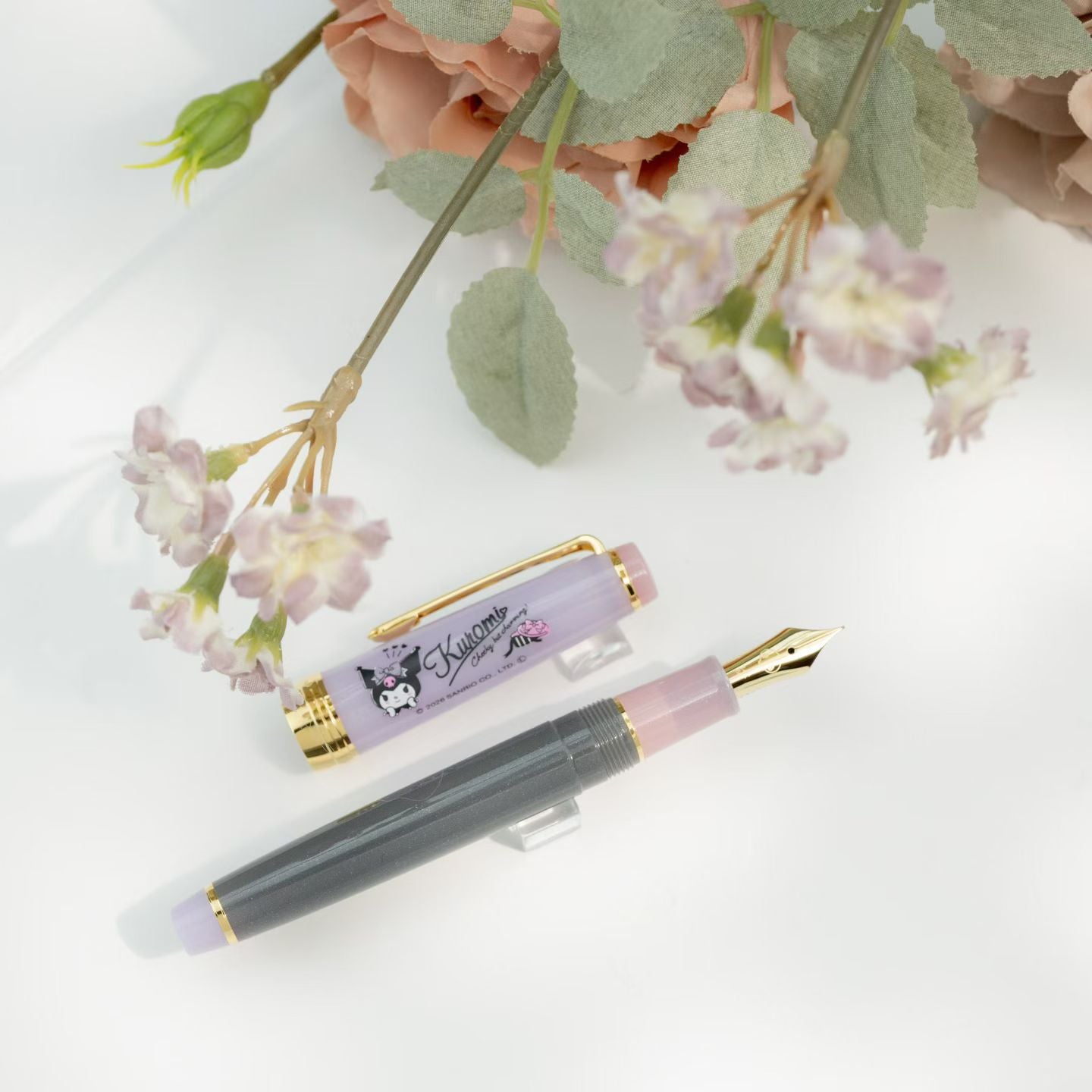 Sailor x Sanrio Kuromi — Fountain Pen & Ink